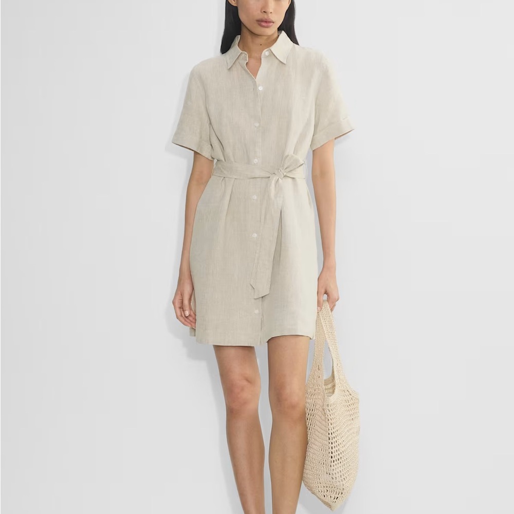 Aritzia Eleta Linen Mini Dress